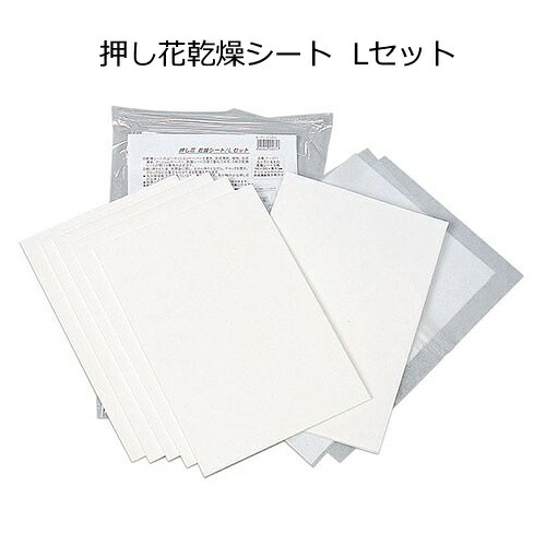 楽天市場 押し花乾燥シート Lセット 手作り工房遊