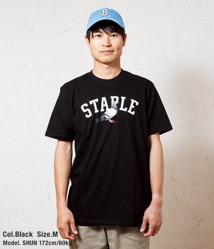 【楽天市場】【STAPLE PIGEON NYC / ステイプル】 ステイプル カレッジ ピジョンデザイン アーチロゴ プリントTシャツ