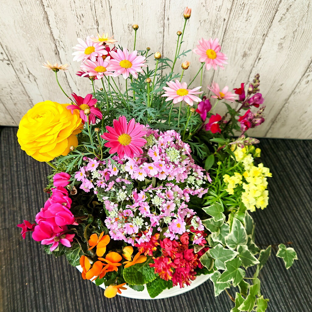 誕生日】 ボリューム◎ Lサイズ「季節の花 おまかせデザイナー 寄せ