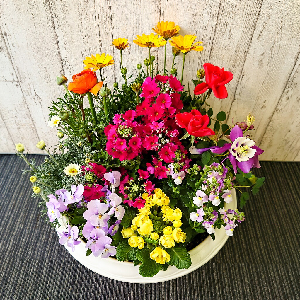 誕生日】ギフト全般 ボリューム◎Lサイズ「季節の花 おまかせ