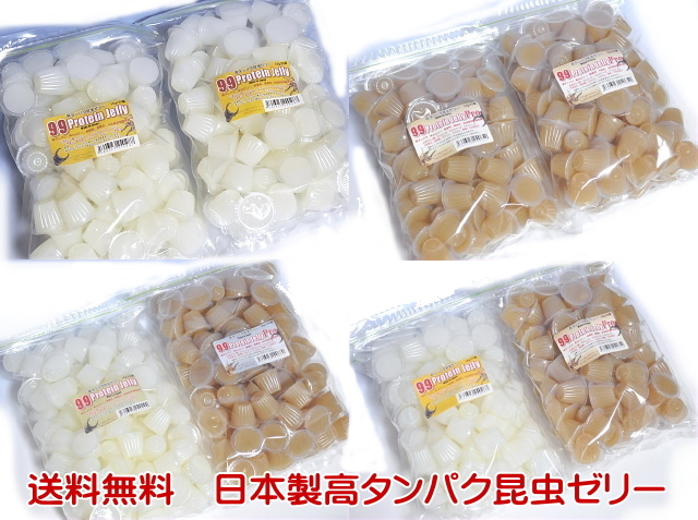 楽天市場】コバエ防止飼育ケース(大) スポンジフィルター付き クワガタ