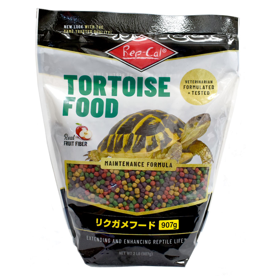 楽天市場】≪リニューアル≫ レップカルジャパン 成体イグアナ