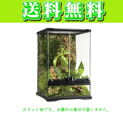海外正規品 ジェックス エキゾテラ グラステラリウム 3045 海外正規品 Lexusoman Com