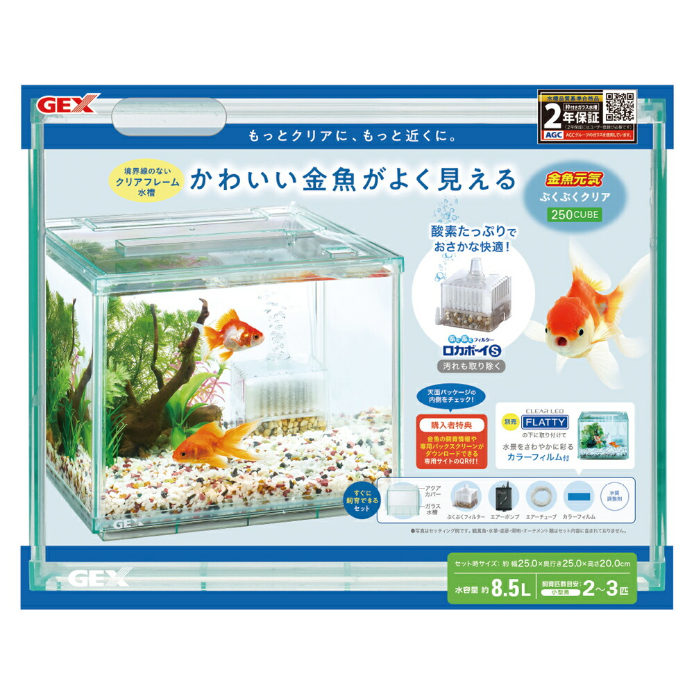 楽天市場】GEX 金魚元気 ぶくぶくクリア250CUBEガラス水槽
