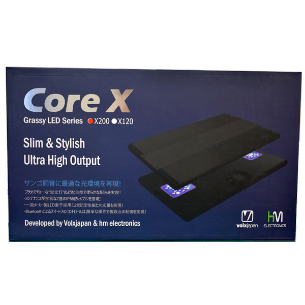 【要エントリー｜ポイント5倍】ボルクス　Grassy CoreX 200　/ グラッシー・コアＸ200　リーフ