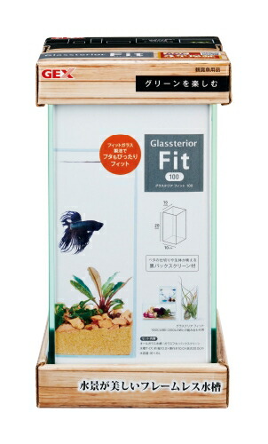 楽天市場】GEX グラステリアフィット 200H : アクアテイラーズ 楽天