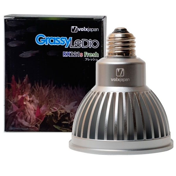 【要エントリー｜ポイント5倍】【初回限定BT付】ボルクス　Grassy LeDio RX121s グラッシーレディオ　フレッシュ　シルバー