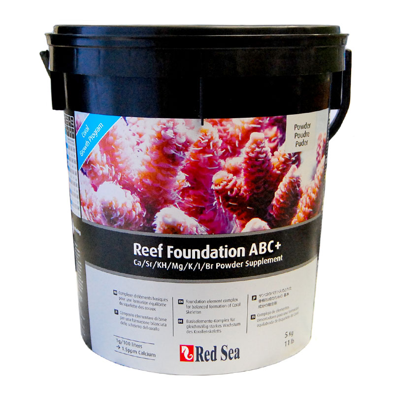 楽天市場】レッドシーファンデーション ABC+ スケルタルエレメンツ