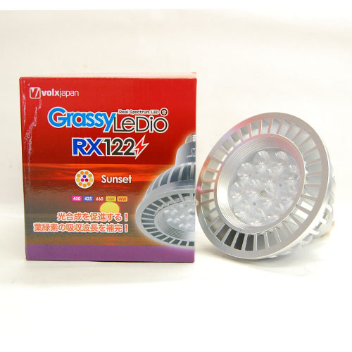 全ての 楽天市場 ボルクス Grassy Ledio Rx122 サンセット 淡水海水両用 アクアアベニュー 即納特典付き Lexusoman Com