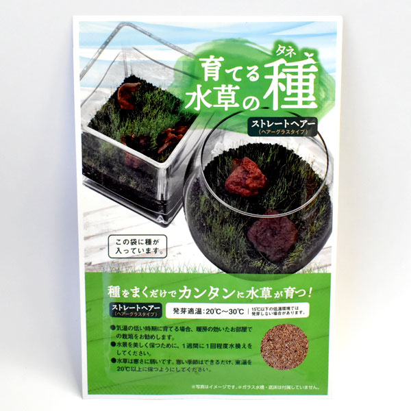 楽天市場 ニッソー 育てる水草の種 ストレートヘアー 流木 アクアアベニュー