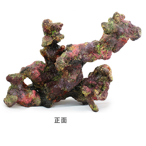 レッドシー 枝状ライブロックレプリカ ライブロックモジュールa お求めやすく価格改定 ライブロックモジュールa