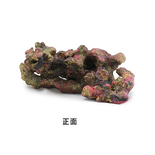 【要エントリー｜ポイント5倍】レッドシー　枝状ライブロックレプリカ　ライブロックモジュールD｜アクアアベニュー