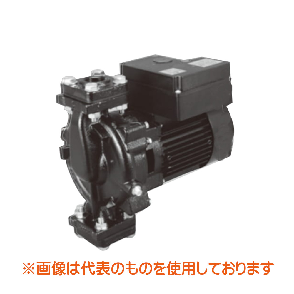 【製造会社直送品】25PBZ-531A 三相電機 鋳鉄製伝達ルート揚水機 （全閉原動機） 東日本用 50サイクル