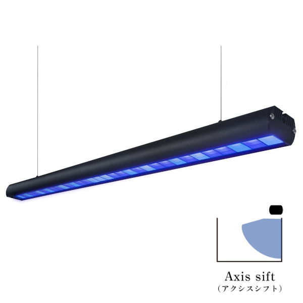 ZOOX アクティニックシャイナー 90 アクシスシフト　みずほ ZOOX アクティニックシャイナー90 アクシスシフト - 海水魚