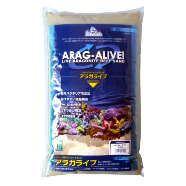 楽天市場】カミハタ カリブシー アラガライブ SPグレードリーフサンド