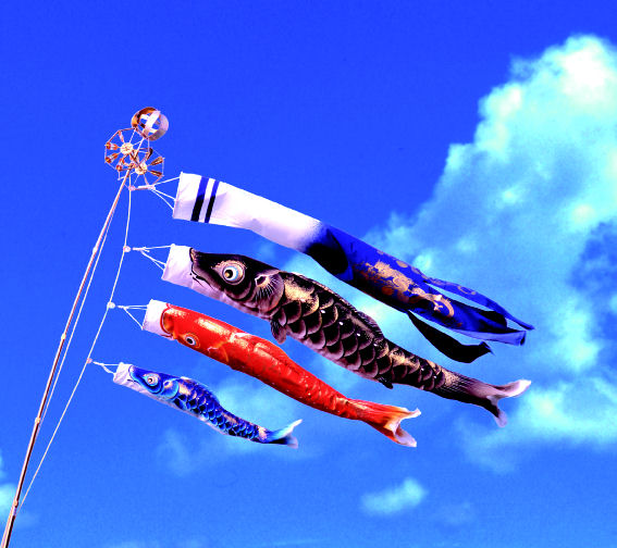 楽天市場】【特選】 最高級鯉のぼり 宝碧 1.5m万能スタンドセット 翔美 