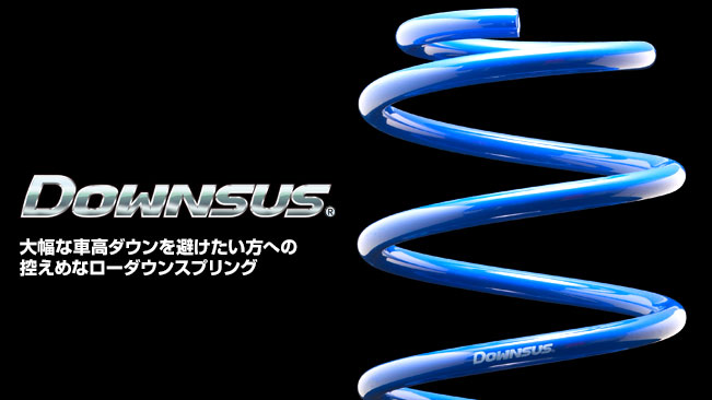 1台分 エスペリア DOWNSUSミツビシ デリカＤ２/D２カスタム MB36S H27/12～R2/11