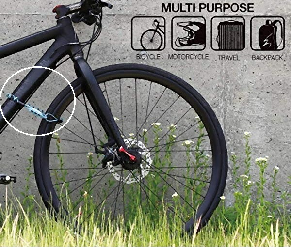 q lock bike