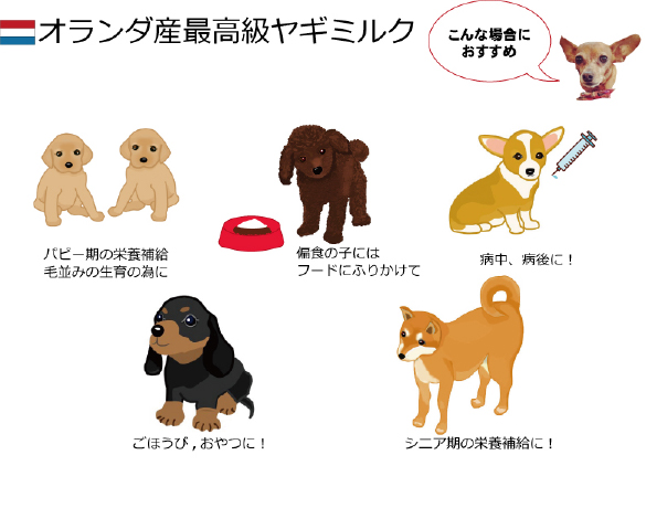 ヤギミルク 犬 猫 無調整 オランダ産 50g パウダー ハイグレード オーガニック 無添加 ゴートミルク