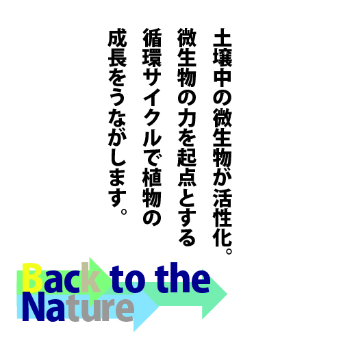 バクチャー アグリ 土壌改良材 60ml 3個セット 天然素材由来 野菜 畑 散布 土 土壌 土壌改良 土づくり 有機栽培 微生物 バクテリア 微生物 活性剤 畑 園芸 園芸用品 ガーデニング用品 花壇 菜園 家庭菜園 バクチャーアグリ ばくちゃー Rvcconst Com