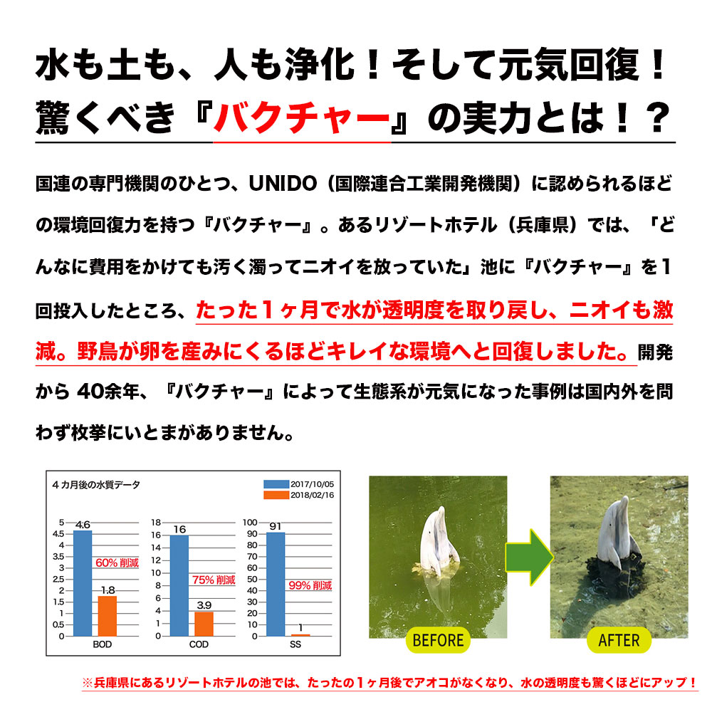 76 Off 土壌改良材 バクチャー アグリ 土用 1000ml 天然素材由来 野菜 畑 散布 土 土壌 土壌改良 土づくり 有機栽培 微生物 バクテリア 活性剤 園芸 園芸用品 ガーデニング用品 花壇 菜園 家庭菜園 Gefert Com Br