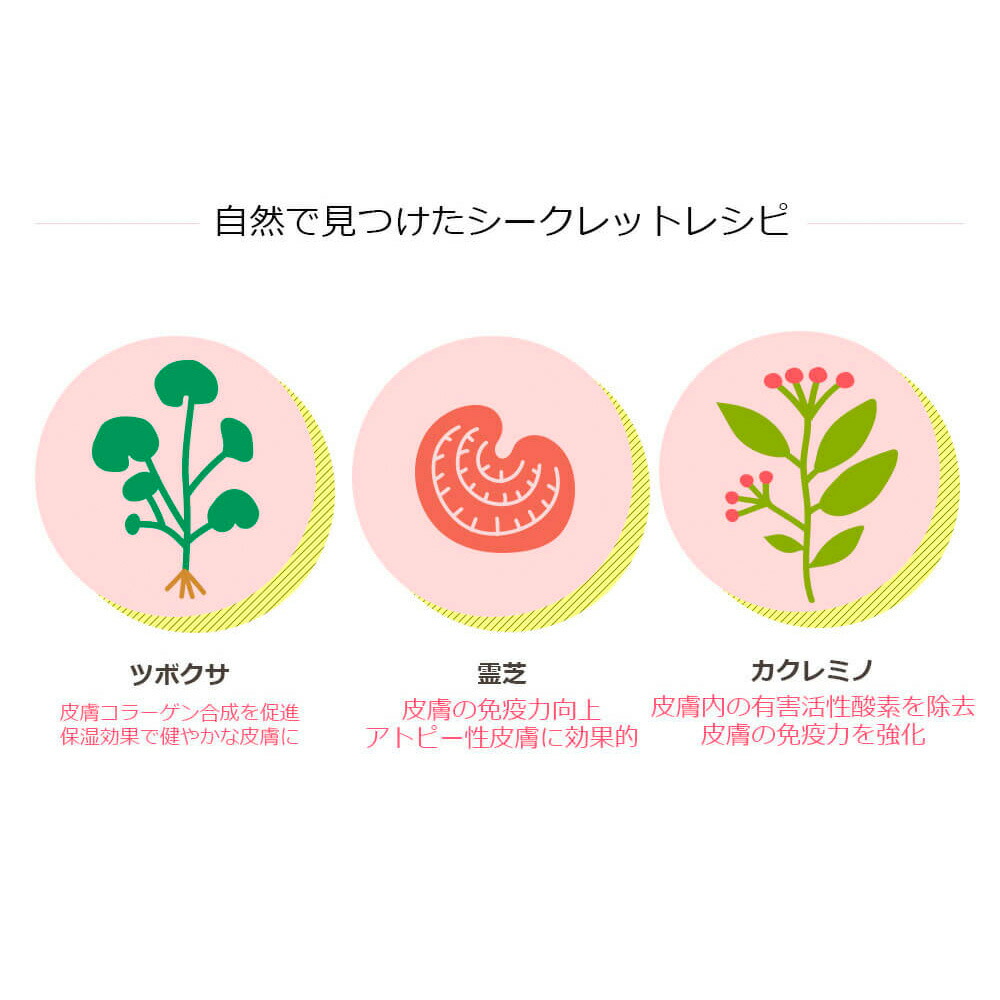 大人気新作 ムムト ドッグ Egf ボディケア 犬用シャンプー スターターキット 犬 皮膚炎 アレルギー疾患 天然由来成分 有害化学物質不使用 Dog Egf 皮膚疾患 皮膚トラブル ケア 皮膚改善 皮膚ケア 被毛改善 フケ かゆみ 抗炎症 保湿 乾燥 ペットエステ スペシャルケア