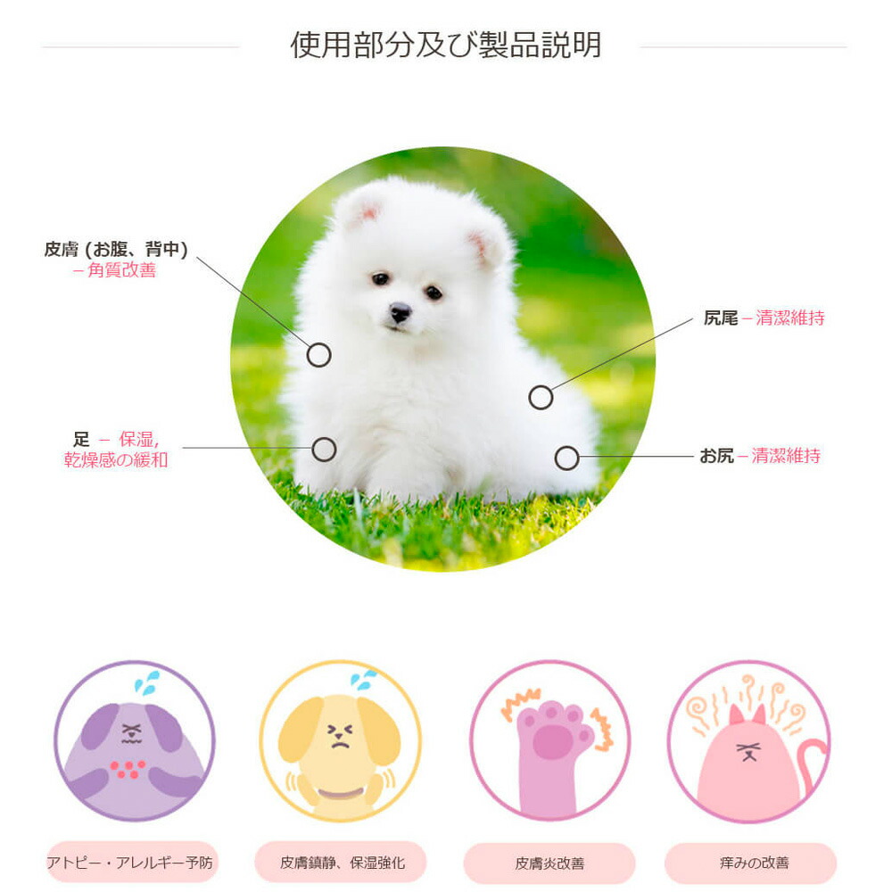 大人気新作 ムムト ドッグ Egf ボディケア 犬用シャンプー スターターキット 犬 皮膚炎 アレルギー疾患 天然由来成分 有害化学物質不使用 Dog Egf 皮膚疾患 皮膚トラブル ケア 皮膚改善 皮膚ケア 被毛改善 フケ かゆみ 抗炎症 保湿 乾燥 ペットエステ スペシャルケア