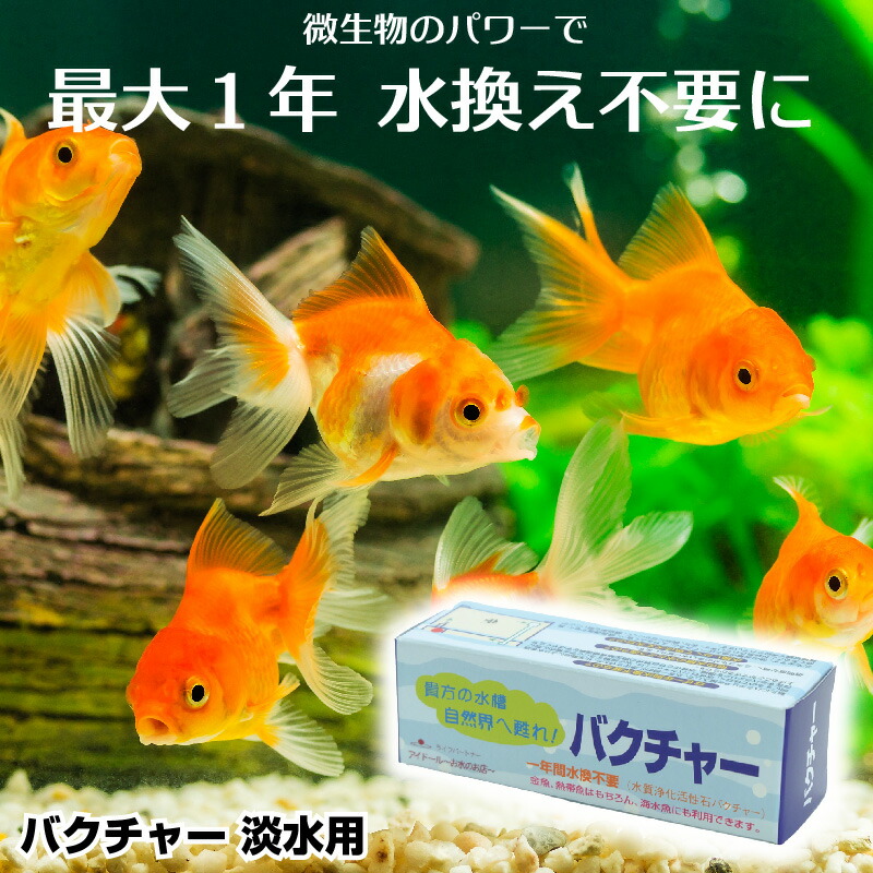 楽天市場】【即日発送】送料無料 バクチャーペット 10cc ペット用サプリ 犬 猫 健康 サプリメント 栄養 酵素 必須アミノ酸 日本製 ミネラル  微生物 送料無料 ネコポス便 : AIAI 人とペットの幸せ創造店