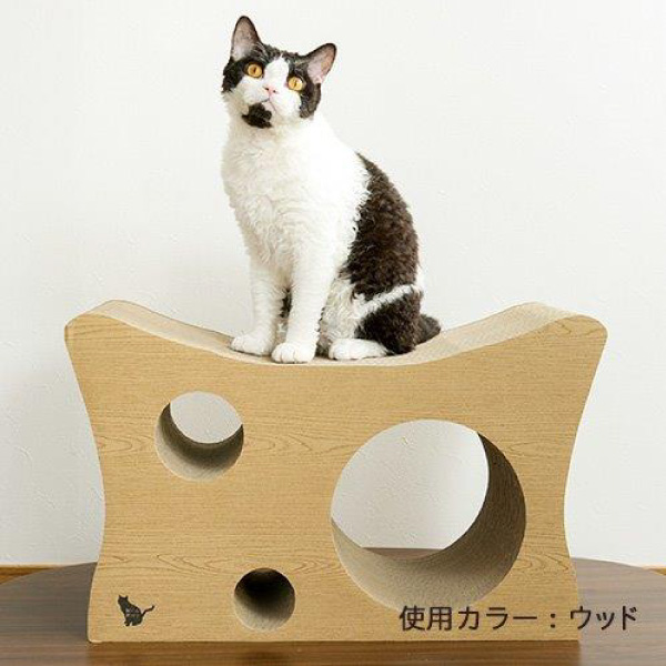 9 新宿 ペット 用品 猫 2021