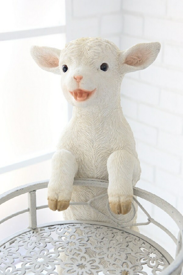 眷族延べ棒シープ Co Ts 11 置物 大切 緬羊 ひつじ ガーデニング雑貨 ファーニチュア雑貨 オブジェ Pasadenasportsnow Com