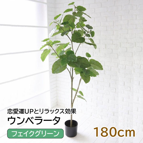 即納 ウンベラータ フェイクグリーン 人工 造花 人工観葉植物 fucoa.cl