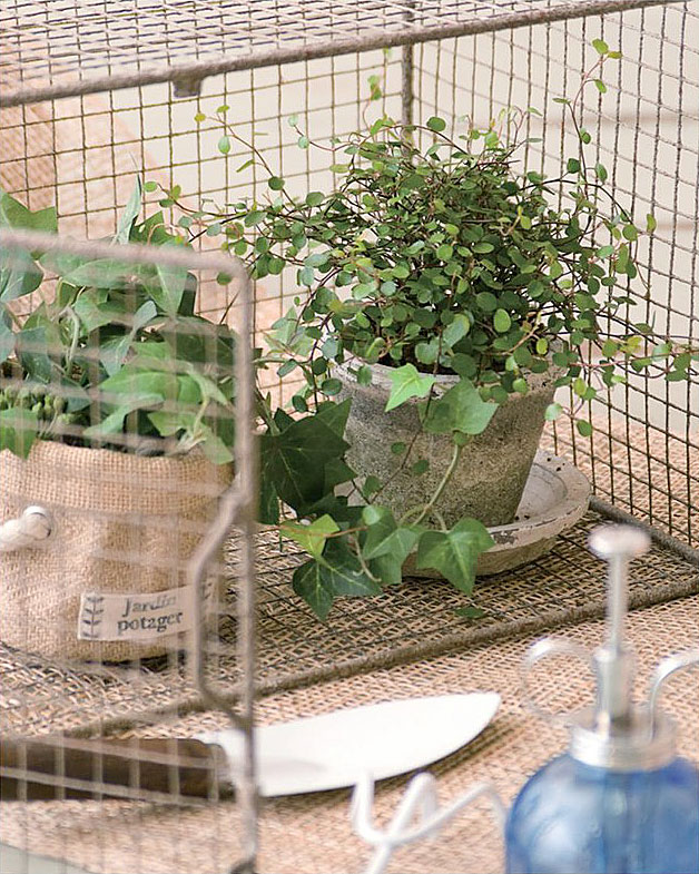 楽天市場 ガーデンバスケット ｌ バスケット ワイヤー ワイヤーバスケットアイアン アイアン雑貨 アンティークガーデニング雑貨 ガーデン雑貨po Aifa インテリア雑貨