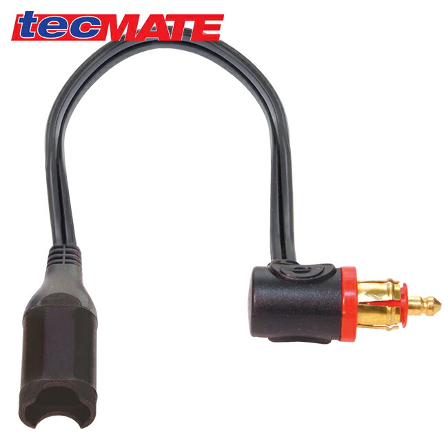 楽天市場】【先着10名☆11/20（20時〜）最大2000円OFFクーポン】SAE#2