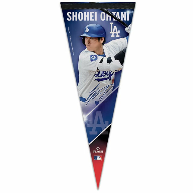 支給品　大谷翔平　バット　17本限定　2018 MLB ロサンゼルスエンゼルス 支給品 大谷翔平 バット 17本限定 2018 MLB ロサンゼルスエンゼルス