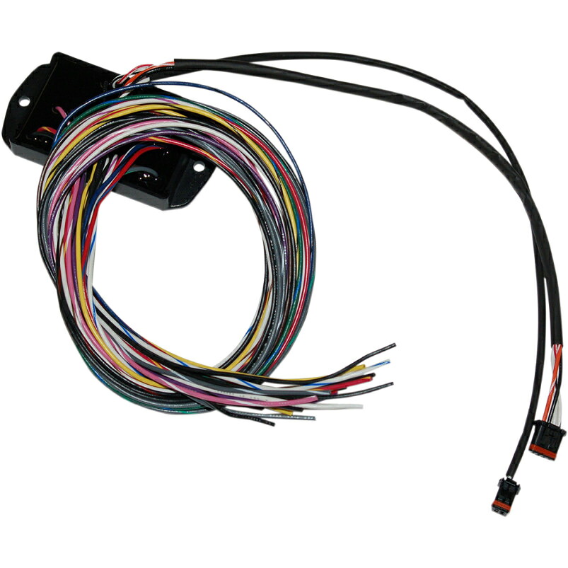 CAN-BUS コントローラー 2014～25年FLHT/FLHX/FLHR/FLTRX｜アンバーピース