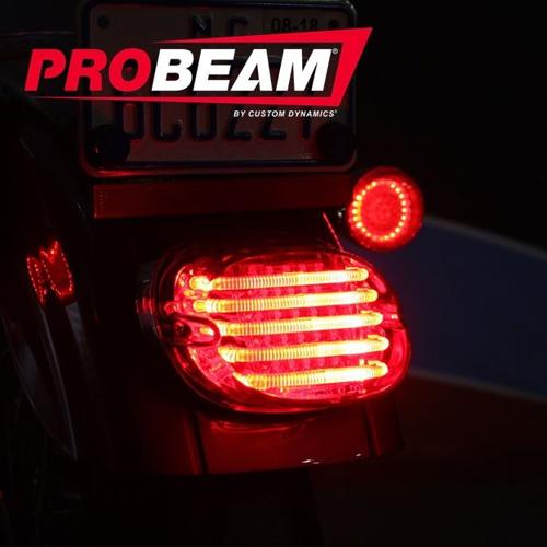 ProBEAM LOW PROFILE LEDテールライト　スモークレンズ / 下側ナンバープレート照明窓有り 27,930円