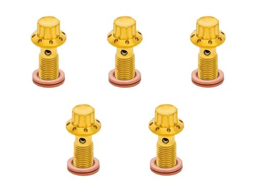 チタニウム 12ポイント バンジョーボルト ゴールド 3/8”-24ボルト 5個セット デュアルブレーキ車(マスターシリンダー側)|アンバーピース