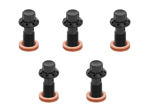 チタニウム 12ポイント バンジョーボルト ブラック 10x1.0mmボルト 5個セット 2008年以降ツーリングモデル（マスターシリンダー、リアブレーキキャリパー側）