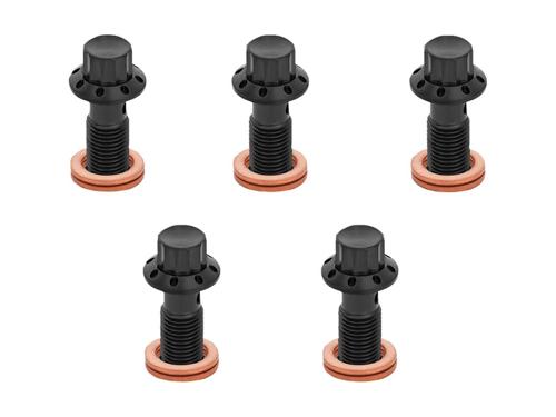 チタニウム 12ポイント バンジョーボルト ブラック 10x1.25mmボルト 5個セット 2018年以降ソフテイル及び2004年以降XLでシングルブレーキ車（マスターシリンダー側）