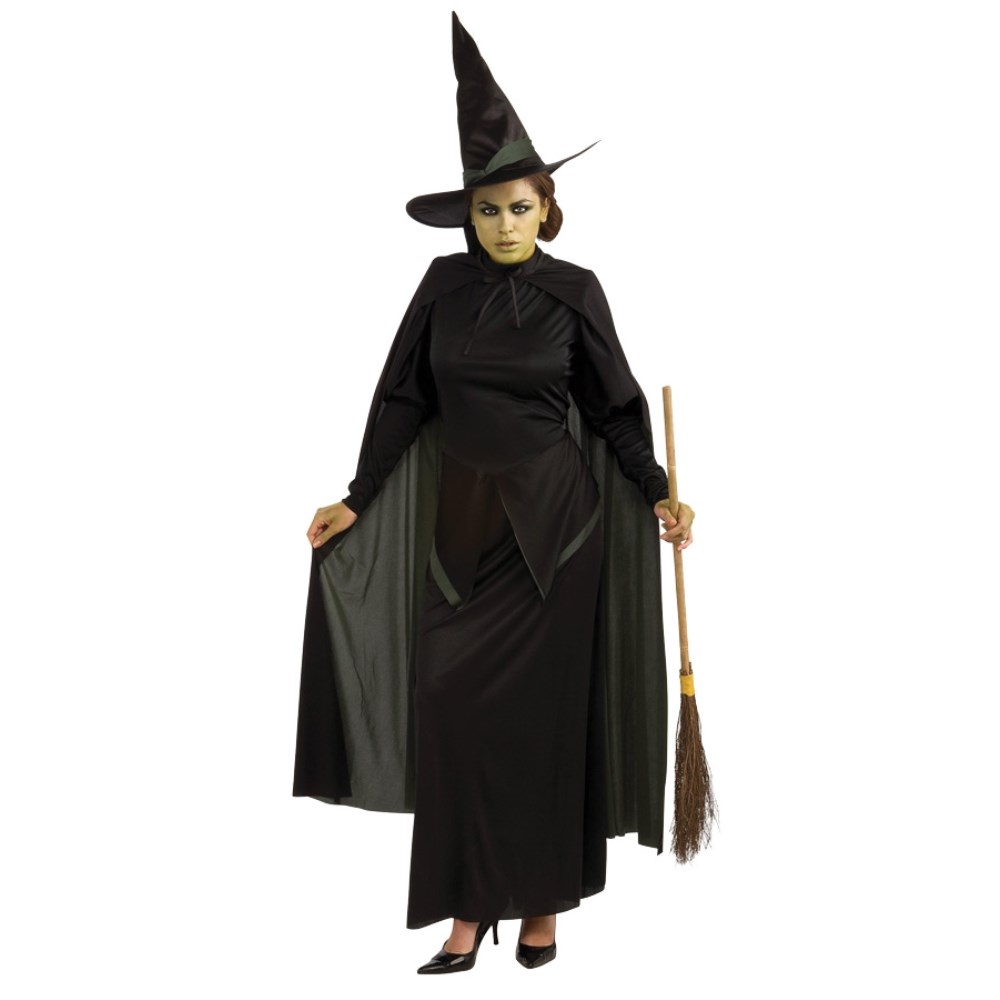 魔女　オズの魔法使い　衣装、コスチューム　大人女性用　The Wizard of Oz Wicked Witch　コスプレ画像