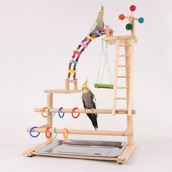 楽天市場】【高さ約70cm】インコ 遊び場 三層 バード アスレチック
