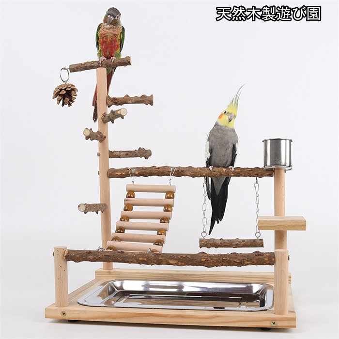 楽天市場】手乗り用バードアスレチック SH-400 : 小動物専門店ヘヴン