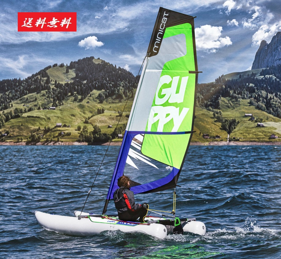 レーシングヨット カタマランヨット ミニキャット グッピー Minicat Guppy    レーシングヨット 申しつけるから送りとどけるまで3週