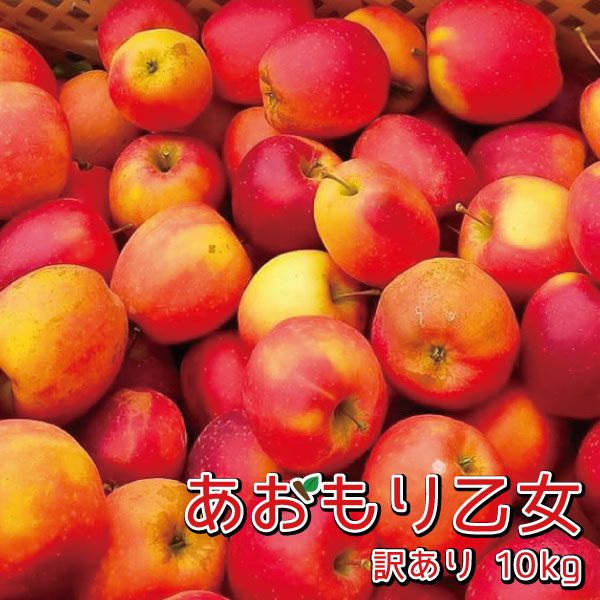 緊急入荷！【訳あり】あおもり乙女ミニふじりんご10kg<br>