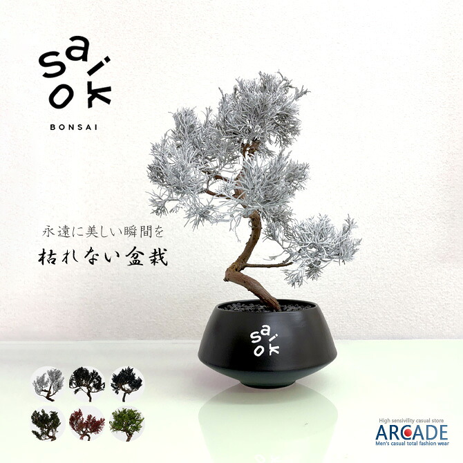 SAIKO BONSAI 盆栽 枯れないインテリアアート盆栽 15-20cm saiko盆栽｜ARCADE（アーケード）