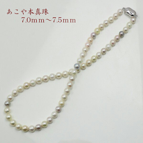 楽天 真珠 パール ネックレス あこや真珠 パールネックレス 7mm 7 5mm マルチカラー シルバー アコヤ本真珠 カジュアル 楽天 Opk Rks Org