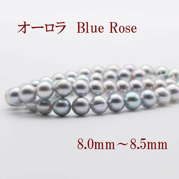 国際ブランド 楽天市場 真珠 パール ネックレス あこや真珠 パールネックレス 8mm 8 5mm ブルーロゼ鑑別書 真珠科学研究所 ナチュラルブルーグレーパール ブルーグレーカラー シルバー アコヤ本真珠 冠婚葬祭 葬儀 葬式 真珠パール通販専門アリエルパール 高質で