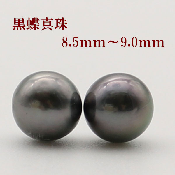 真珠 ピアス イヤリング 黒蝶真珠 パール ペアー 8.5mm-9mm ブラックカラー 黒真珠 スタッド 一粒 フォーマル 冠婚葬祭 葬儀 葬式 法事