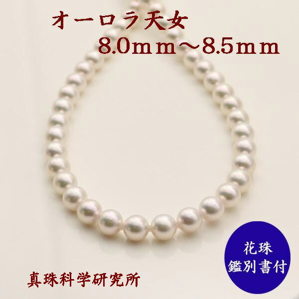 【動画】【ショップレヴュー 4.8】 真珠 パール ネックレス あこや真珠 パールネックレス 8mm-8.5mm オーロラ 天女 花珠真珠 鑑別書 高品質 冠婚葬祭 フォーマル 入学式 卒業式 成人式 ブライダル｜真珠パール通販専門アリエルパール