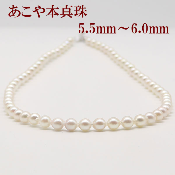真珠 パール ネックレス あこや真珠 パールネックレス 5.5mm-6mm ホワイトカラー シルバー アコヤ本真珠 カジュアル